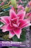 Лилия Roselily Джасмина (5)